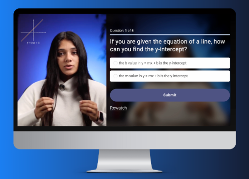 Online learning interface
